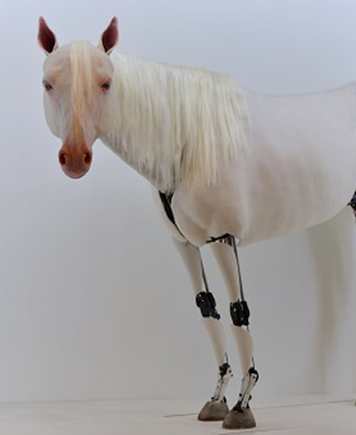 "Horse"